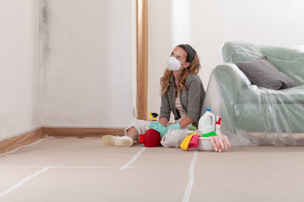 Reliable Mold Removal contractor in Oradell, NJ by 24 Hour Mold Removal